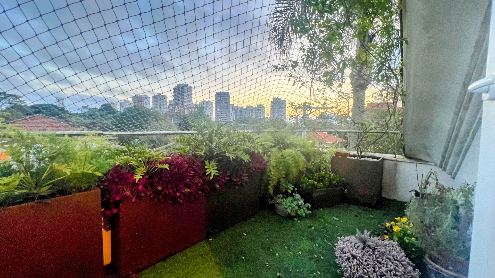 Terraço com jardineiras floridas e vista do bairro ao entardecer